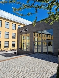 Flygeln