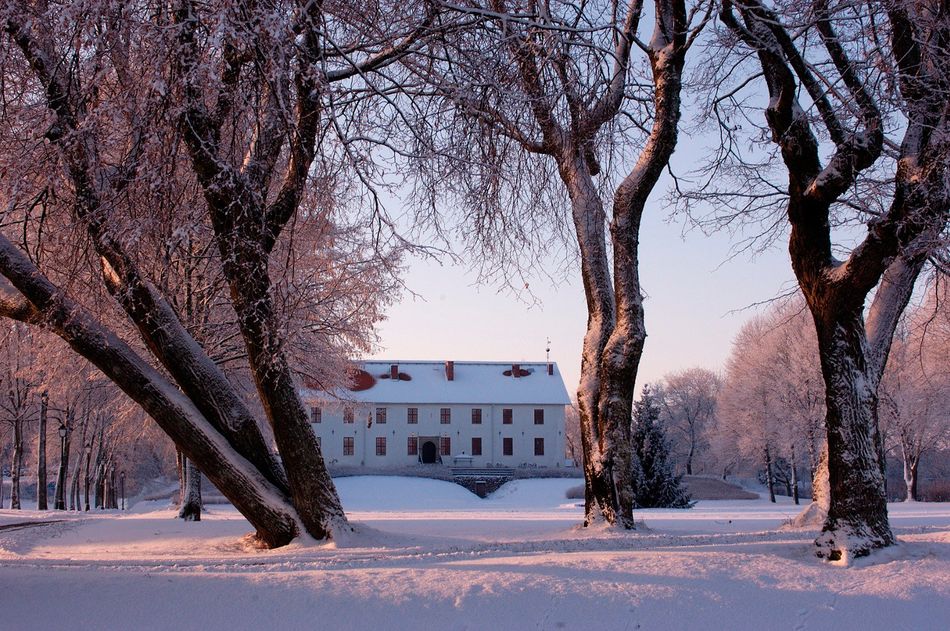 Slottet i vinterskrud skymtas mellan träden i slottsparken.