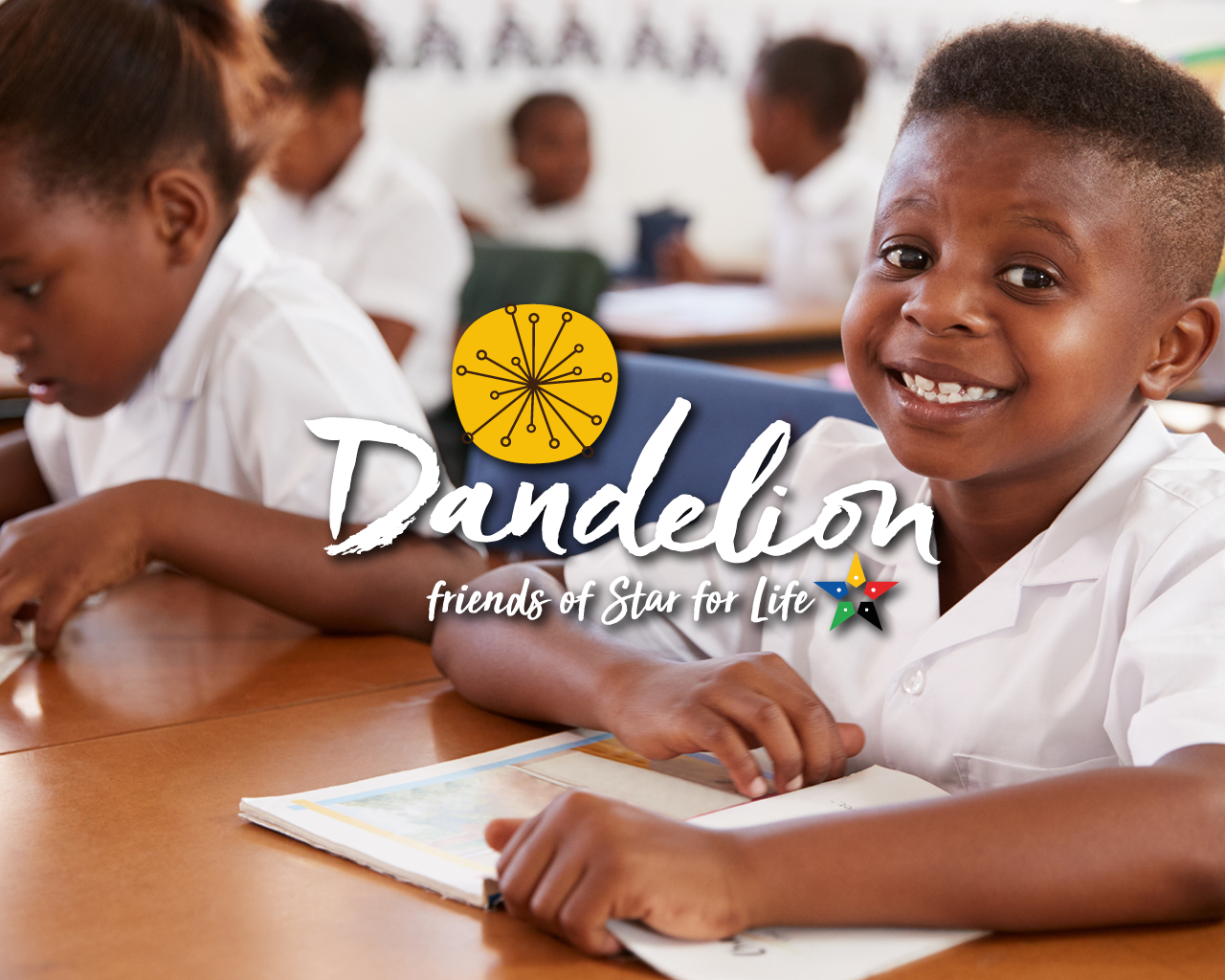 Dandelion Deal|CSR