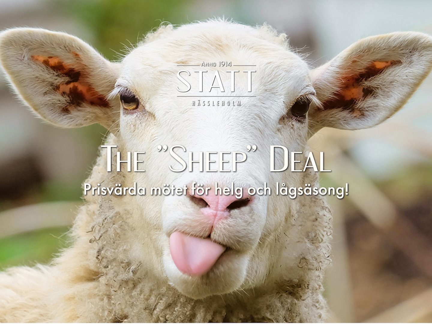 The "Sheep" Deal