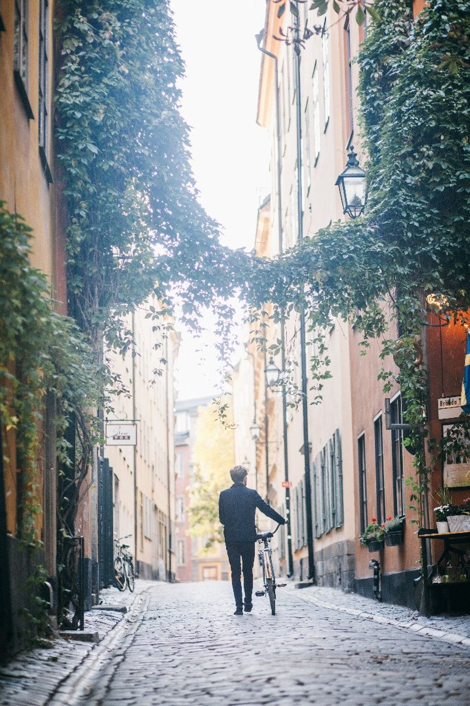 Svenska Möten