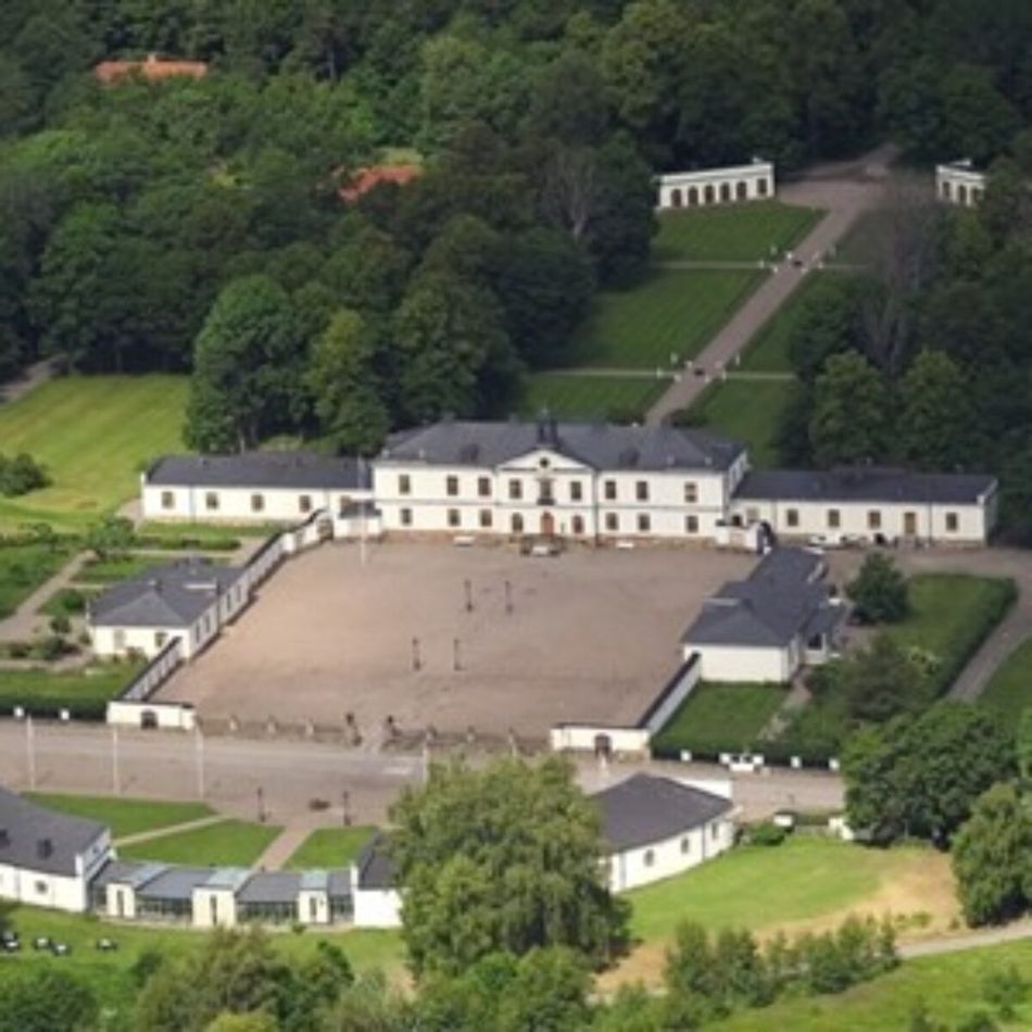 Svenska Möten