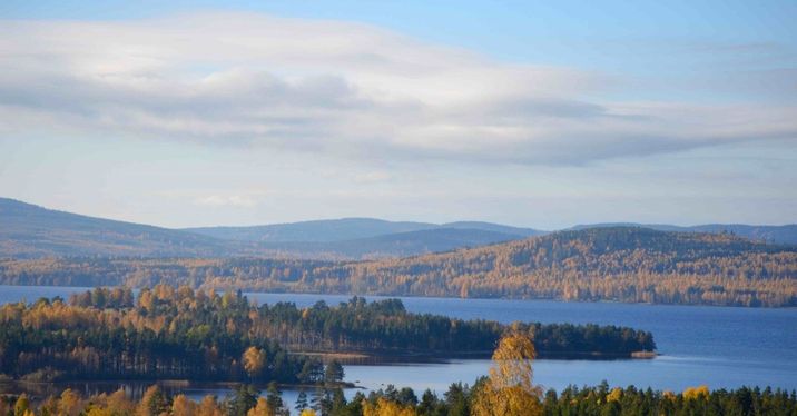 Svenska Möten