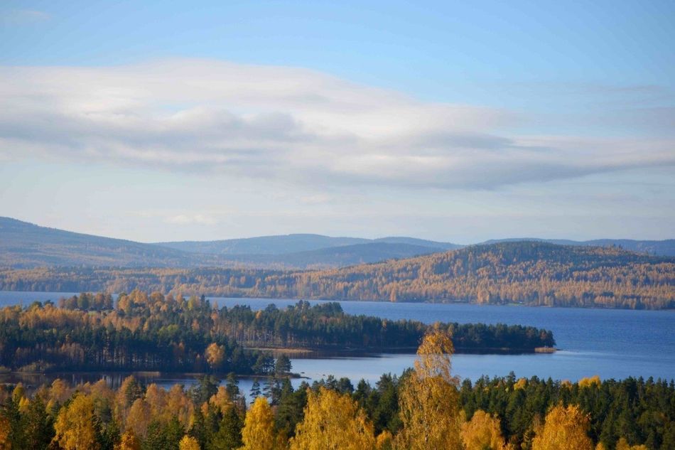 Svenska Möten