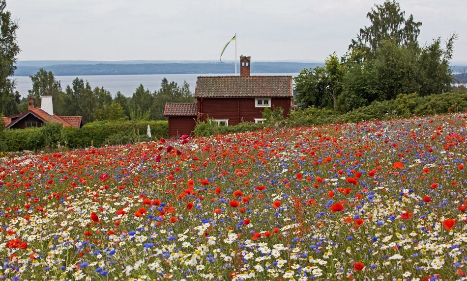Svenska Möten