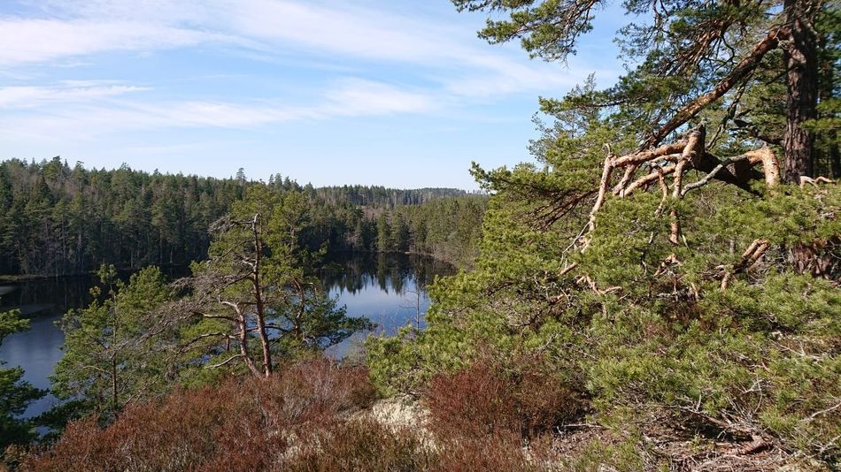 Svenska Möten
