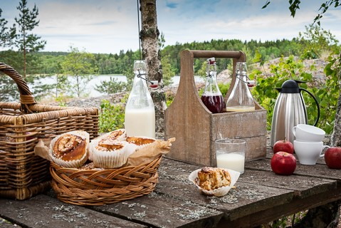 Mötesrum i Naturen
