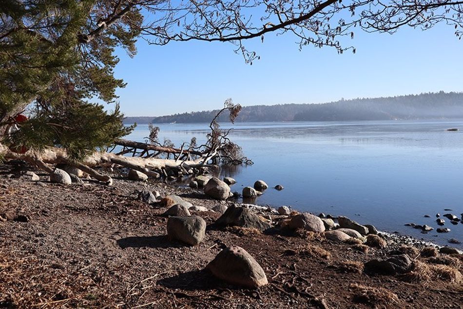 Svenska Möten