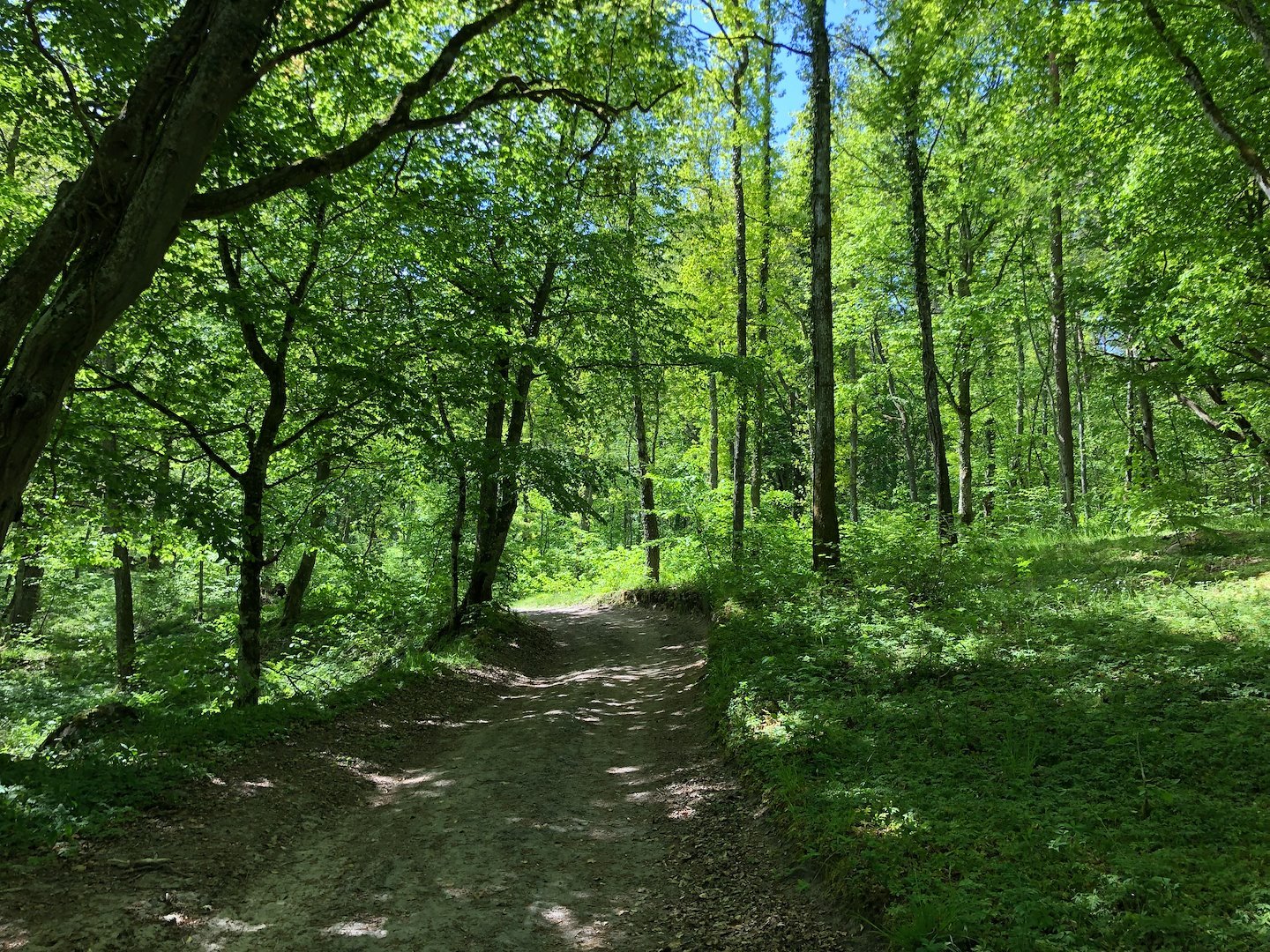 Konferens - Möten och Natur
