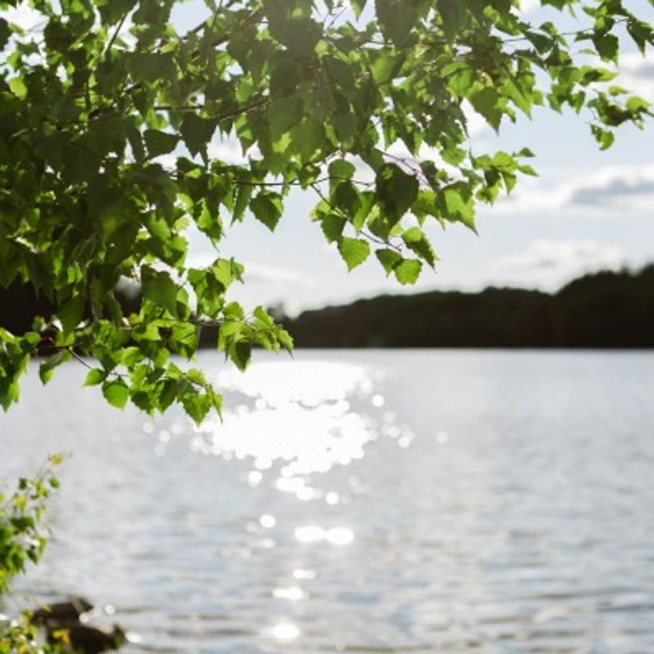 Svenska Möten