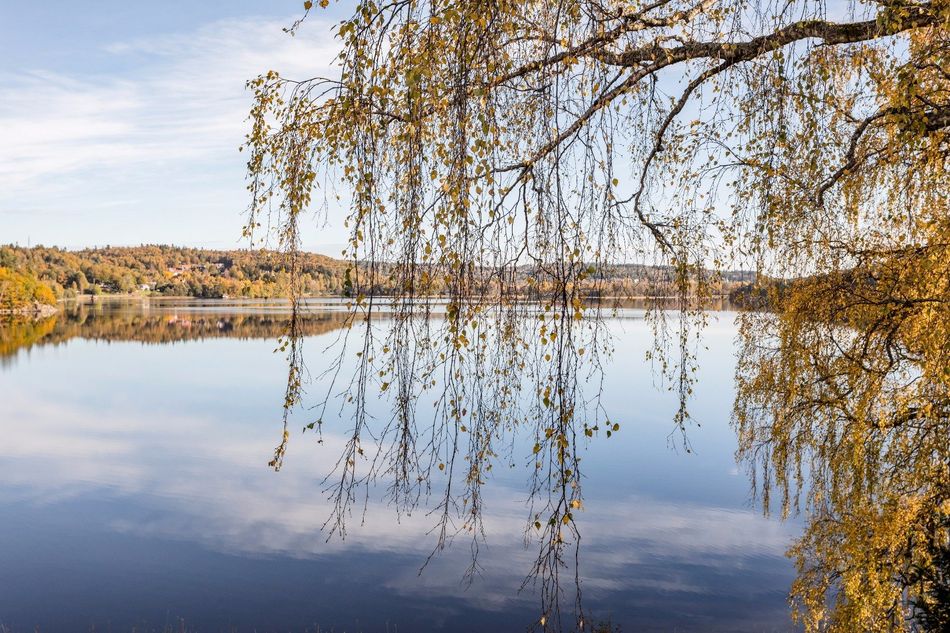 Svenska Möten