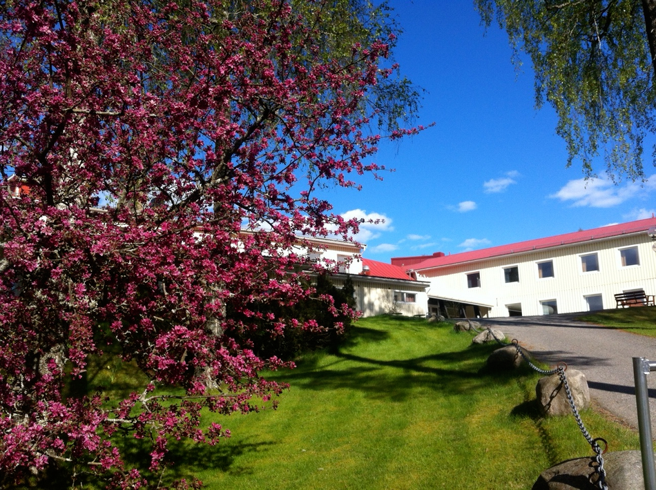 Svenska Möten